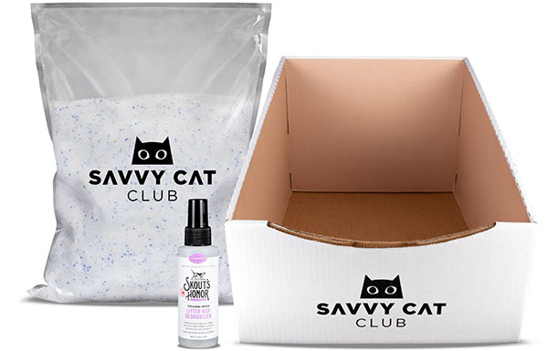 FR3gfX7w Savvy Cat Club box, litter, and Skouts spray